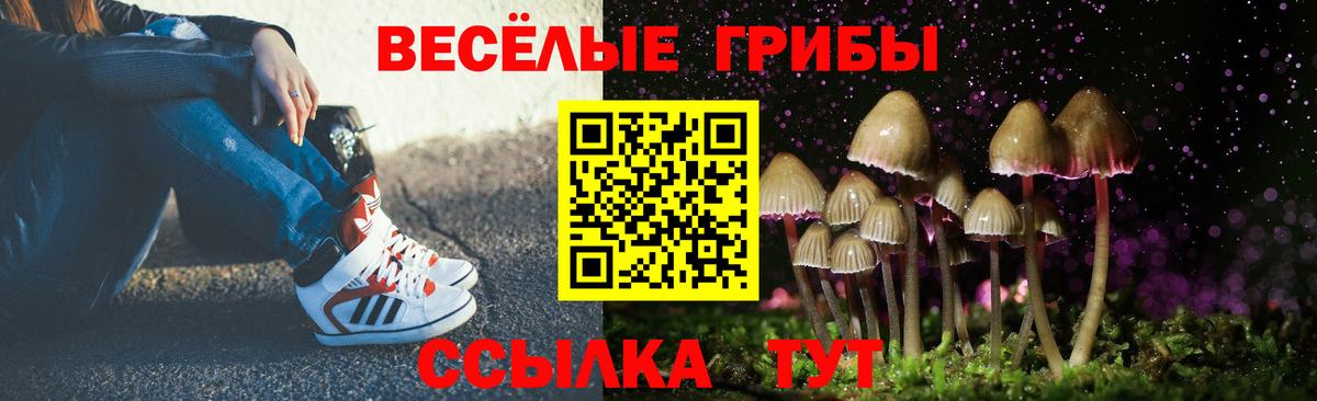 Новоуральск  Псилоцибиновые грибы Psilocybe  Вход с VPN  Галлюциногенные грибы MAGIC MUSHROOMS 