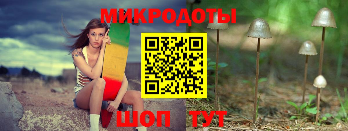 Псилоцибиновые грибы Psilocybine cubensis Новоуральск